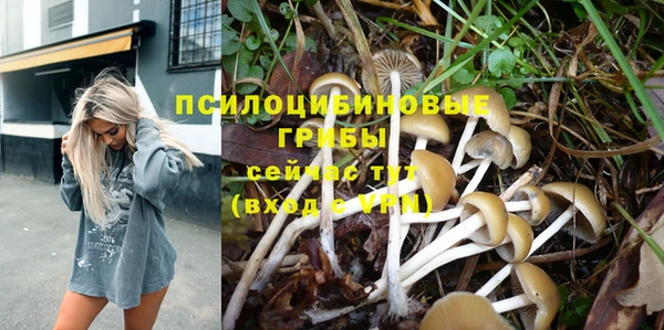 прущие крисы Алексеевка